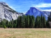 Yosemite_Trip_2018 (13 of 16)